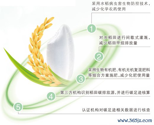 一粒大米的碳中庸之旅（清秀中国·身边的绿色故事）